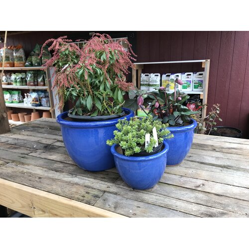 Planter, Jaya Pot, Imperial Blue, Large,15"