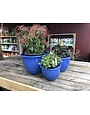 Planter, Jaya Pot, Imperial Blue, Large,15"