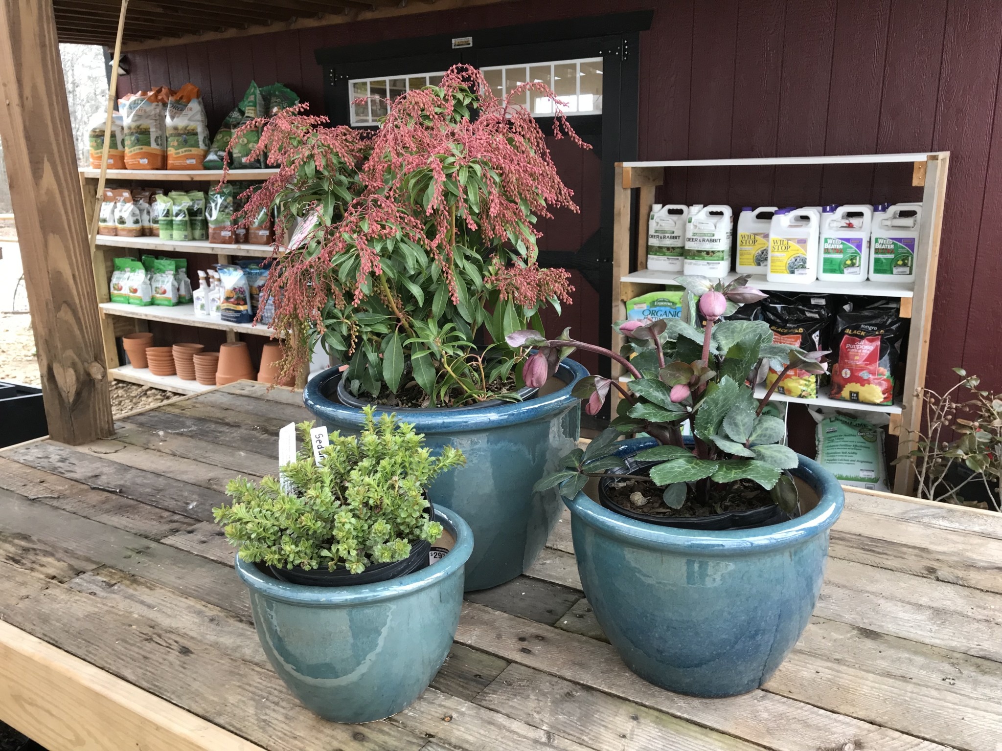 Planter, Jaya Pot, Jade Blue, Large, 15"