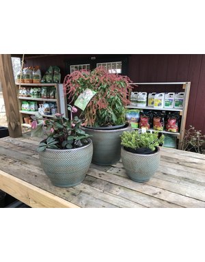 Planter, Rattlesnake Low Egg Pot, Turquoise, Medium