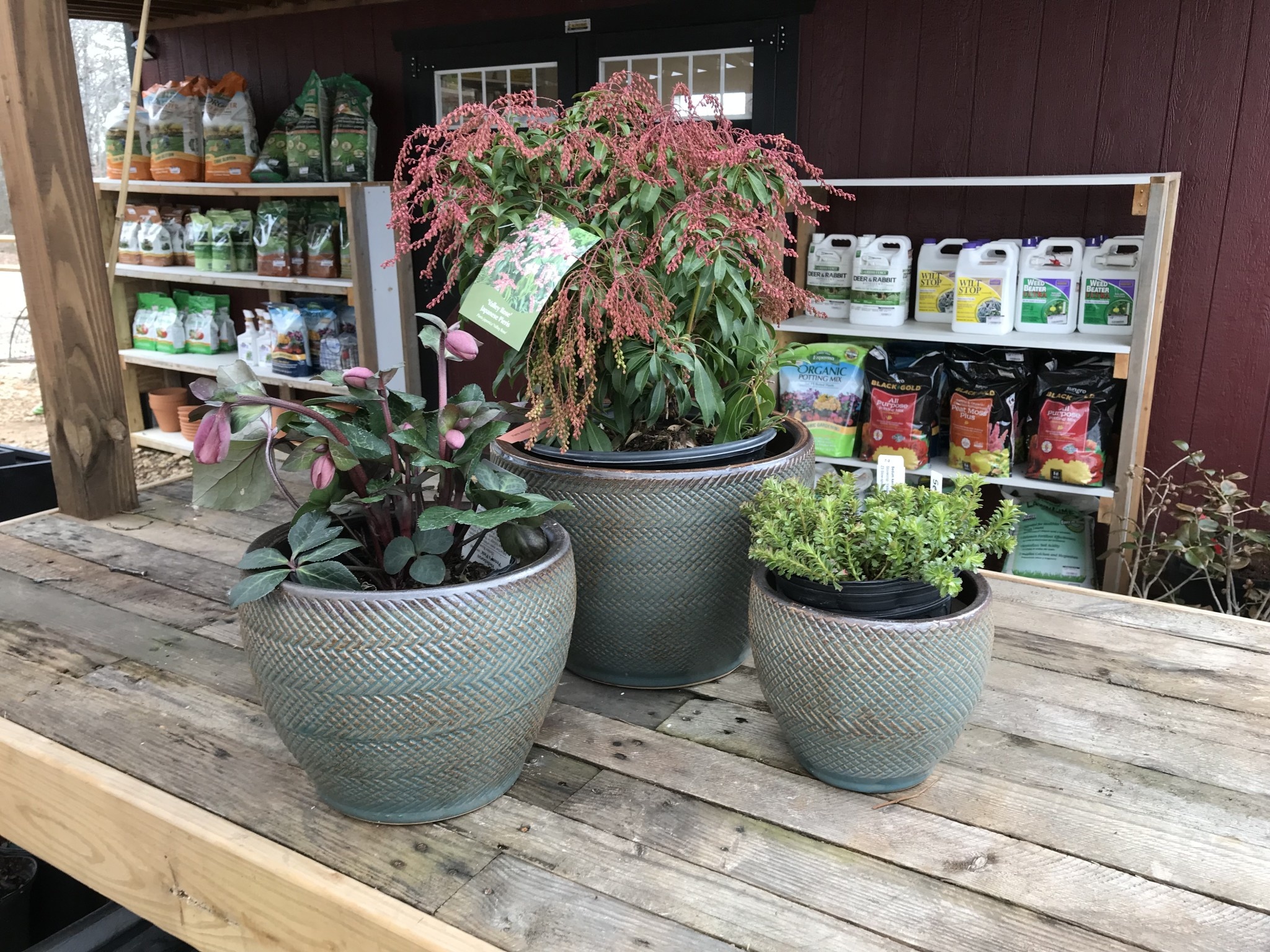 Planter, Rattlesnake Low Egg Pot, Turquoise, Medium