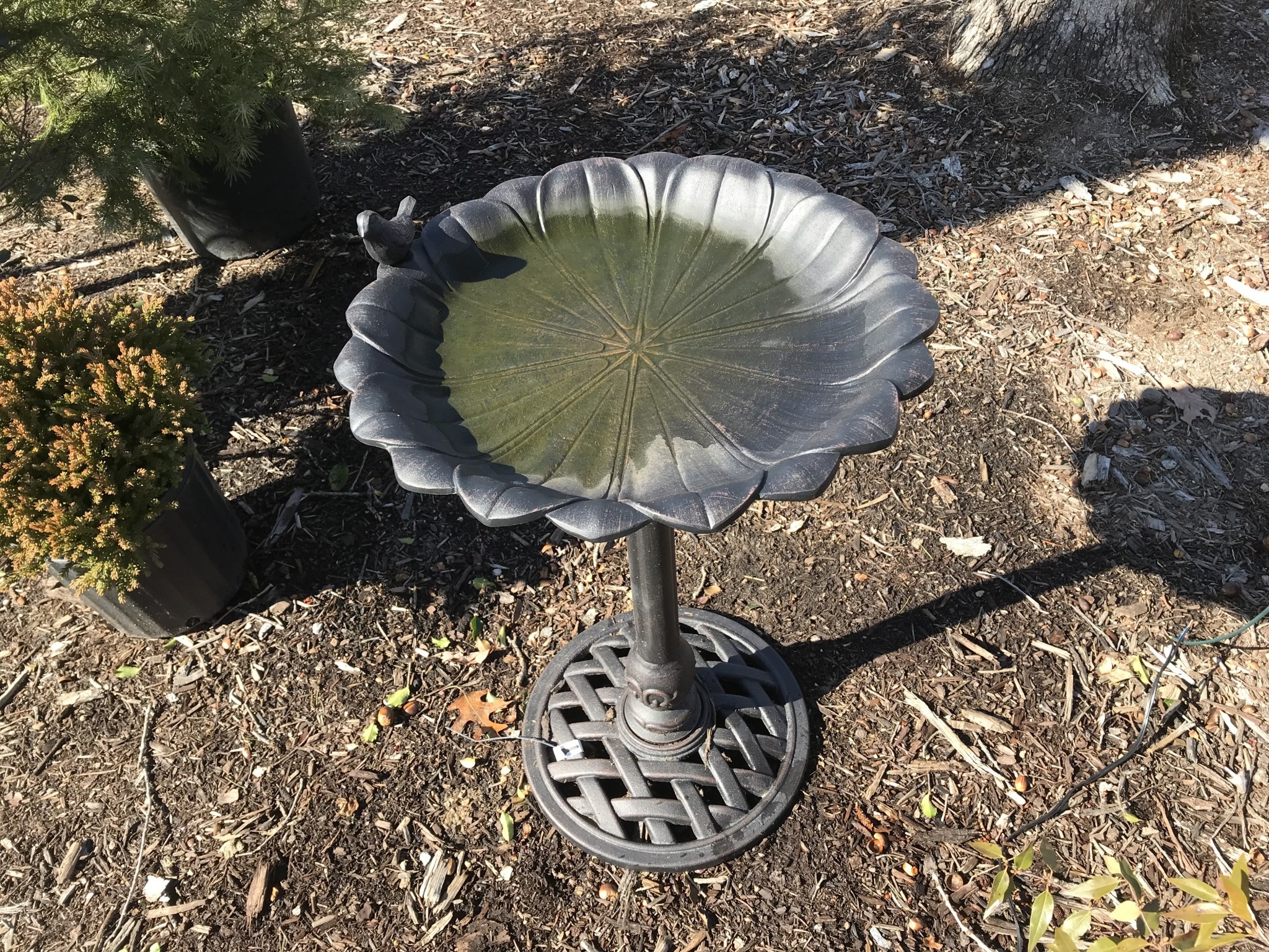 Reflection Bird Bath Copper Rust