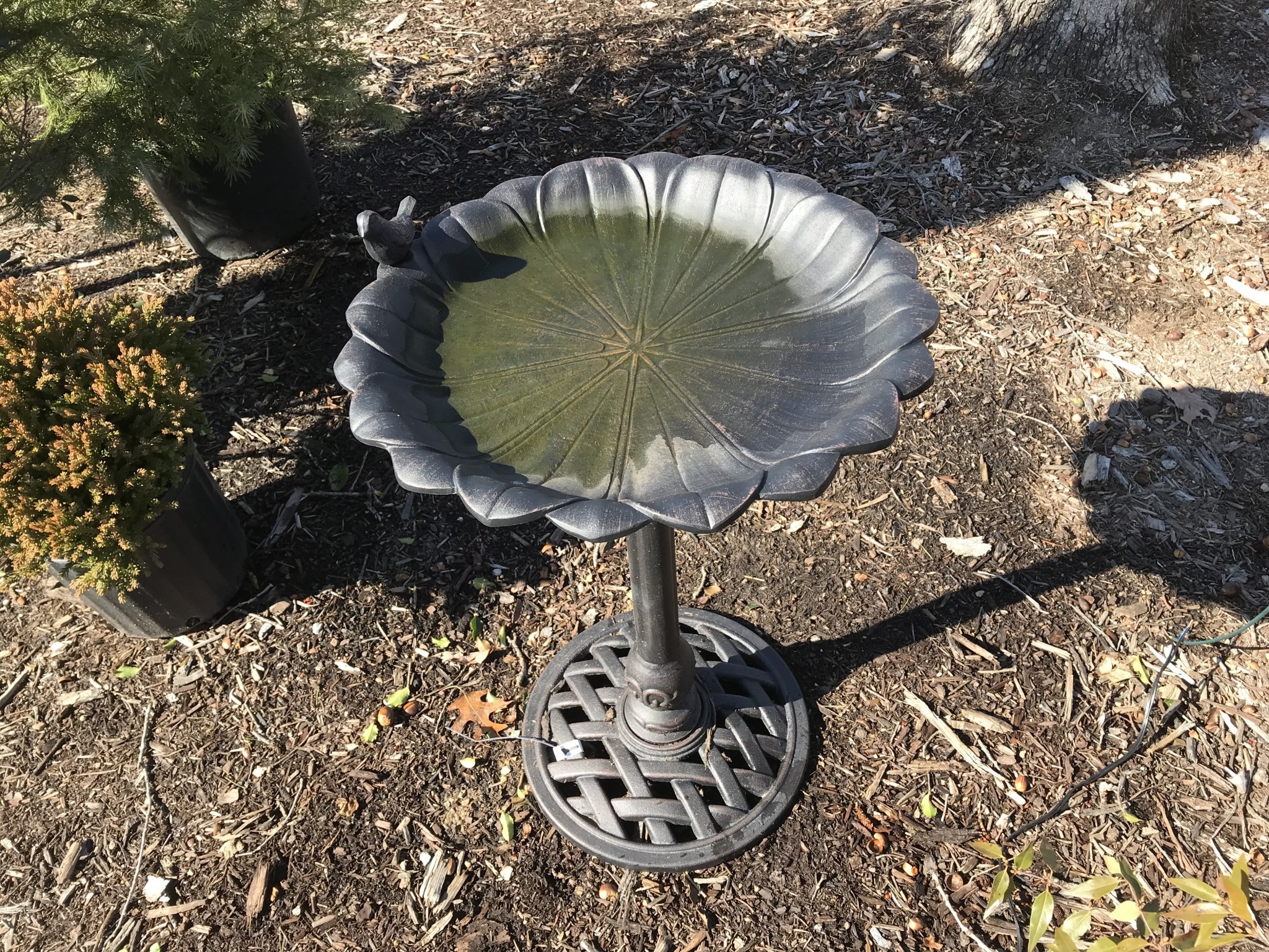 Reflection Birdbath Copper Rust