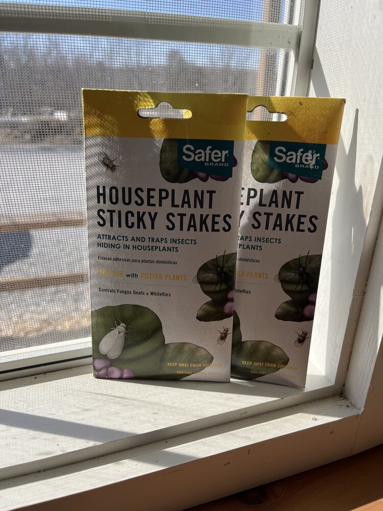Safer Houseplant Sticky Stakes & Strips
