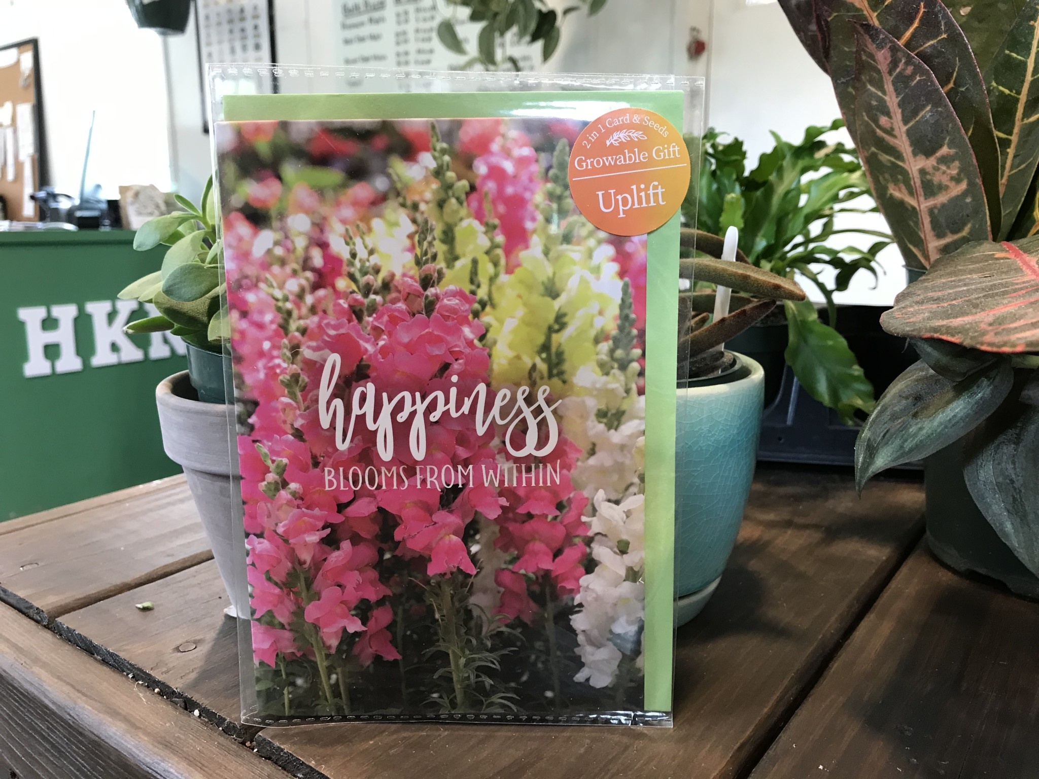 Card, Happiness Blooms from Within