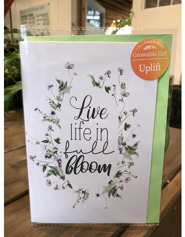 Card , Live Life in Full Bloom