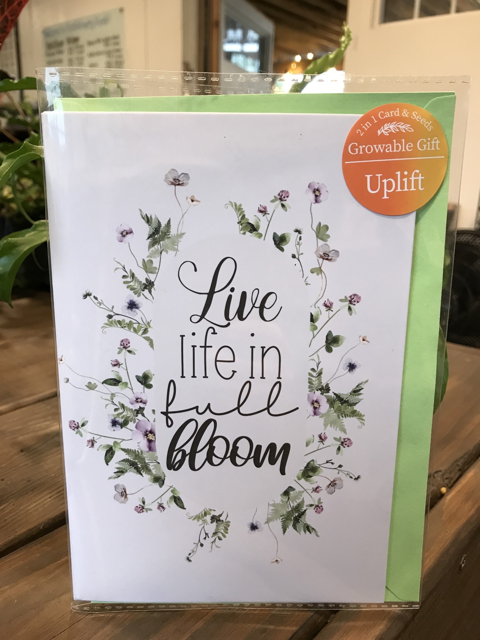 Card , Live Life in Full Bloom