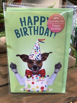 Card, Happy Birthday