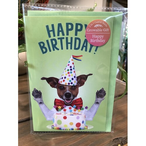 Card, Happy Birthday