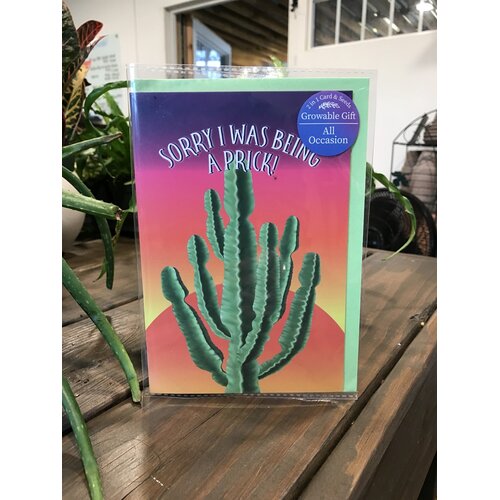 Card, Sorry I was Being a Prick