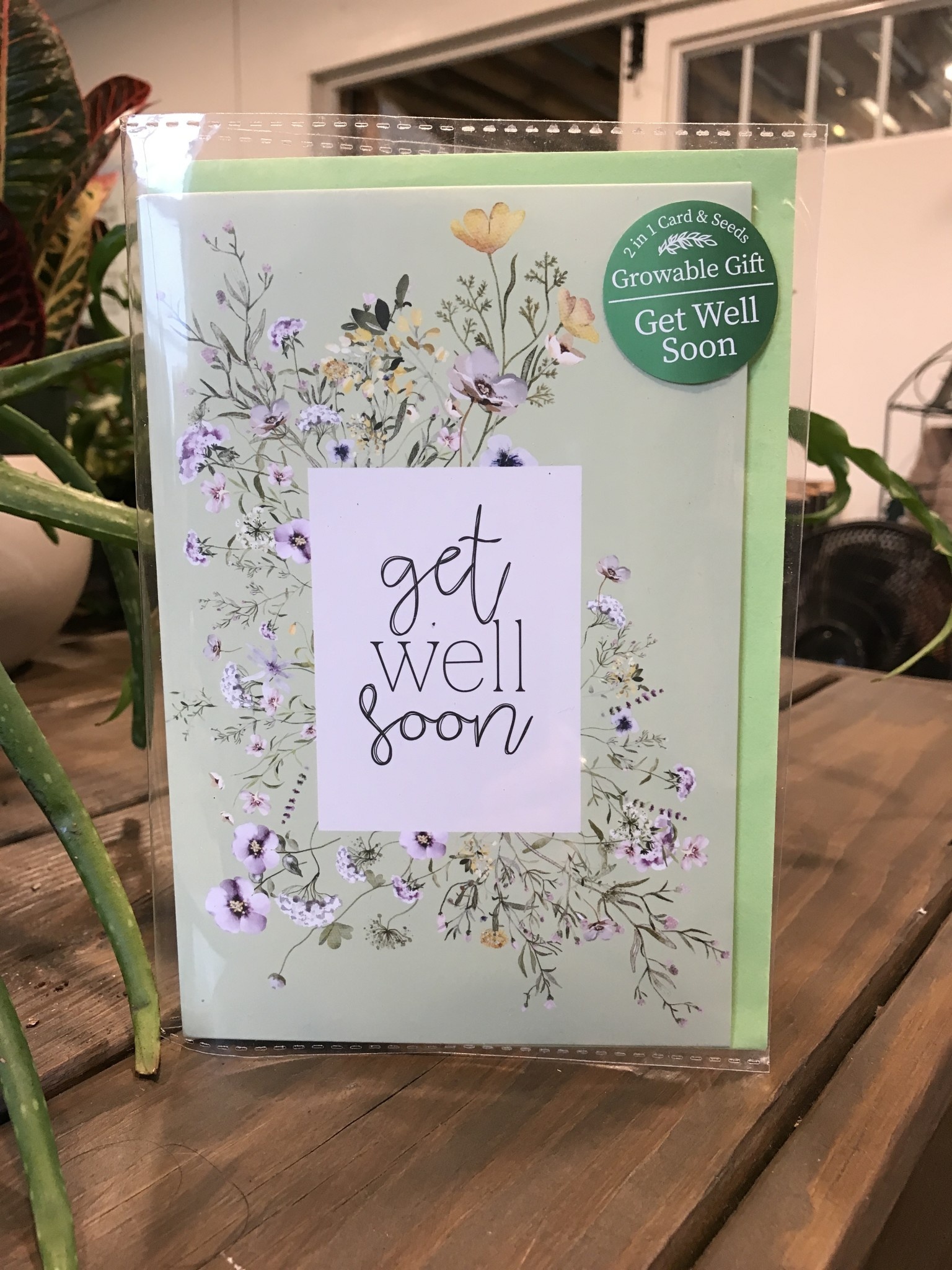 Card, Get Well Soon