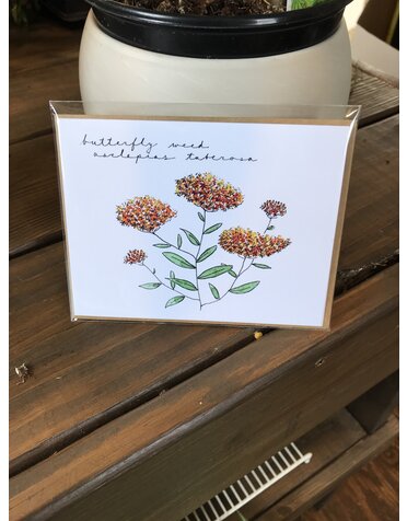 Watercolor Card-Butterfly Weed