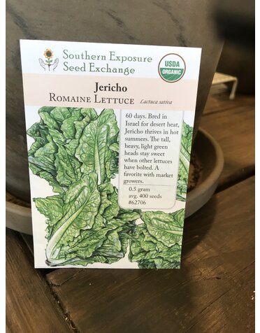 Jericho, Romaine Lettuce