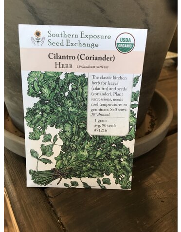 Cilantro, Coriander