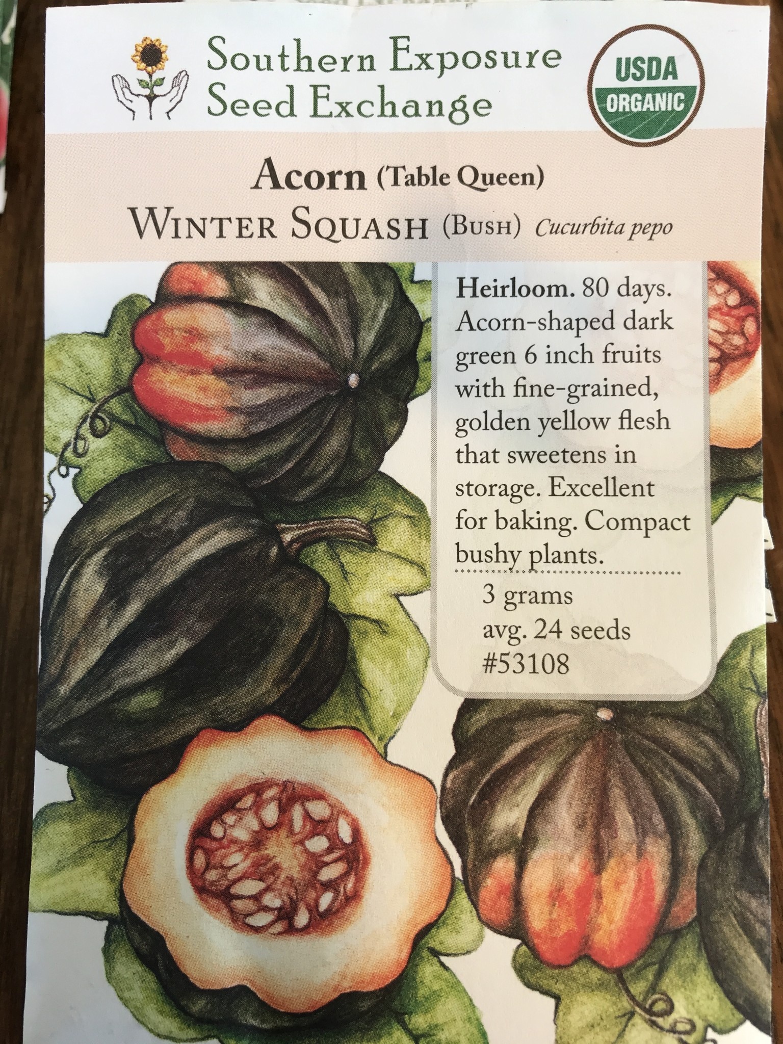 Acorn (Table Queen) Winter Squash