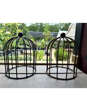 Lilly Topiary  - Black Metal Cloche