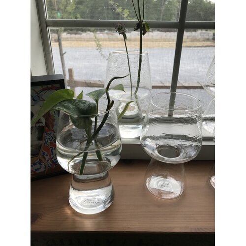 Bulb Vase, Glass