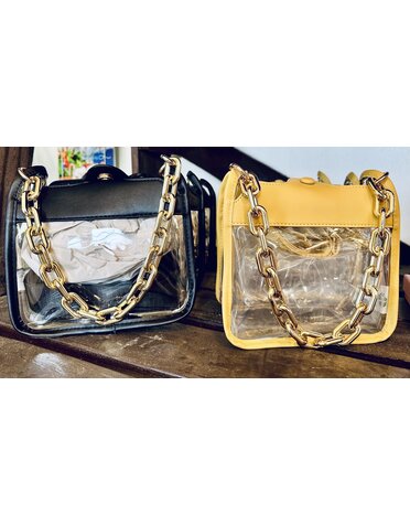 Clear purse with chain- Gold