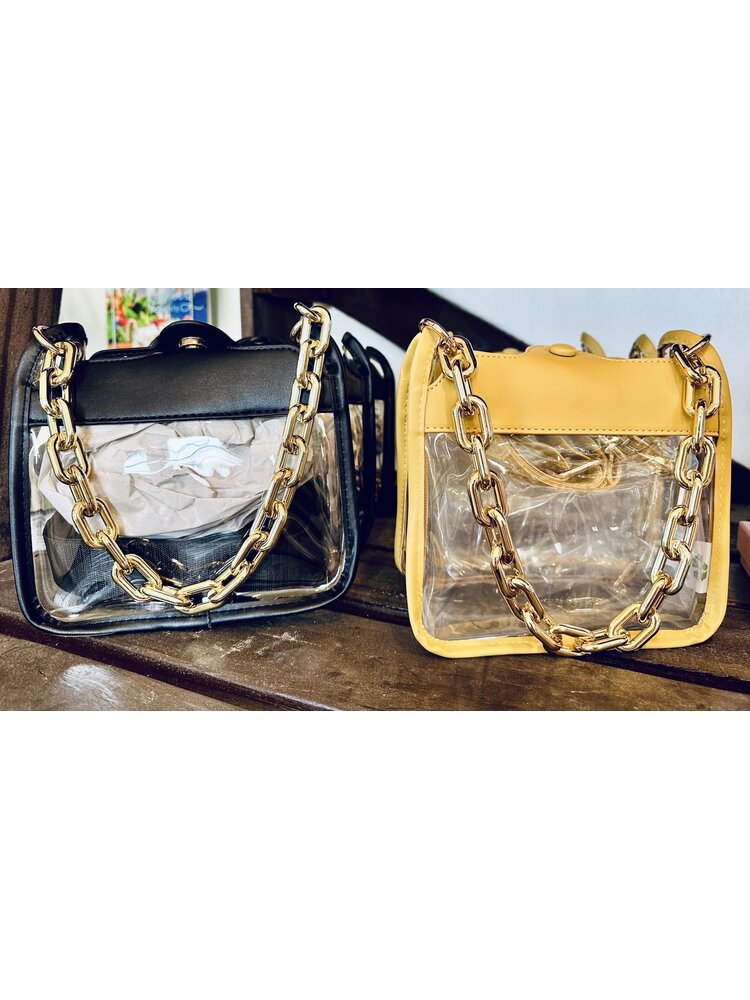 Clear purse with chain- Gold