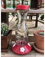 Friends of flight Glass Hummingbird Feeder
