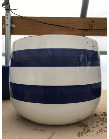 Large Stripe Planter (blue/ white)