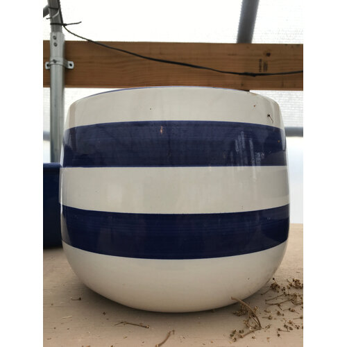 Large Stripe Planter (blue/ white)