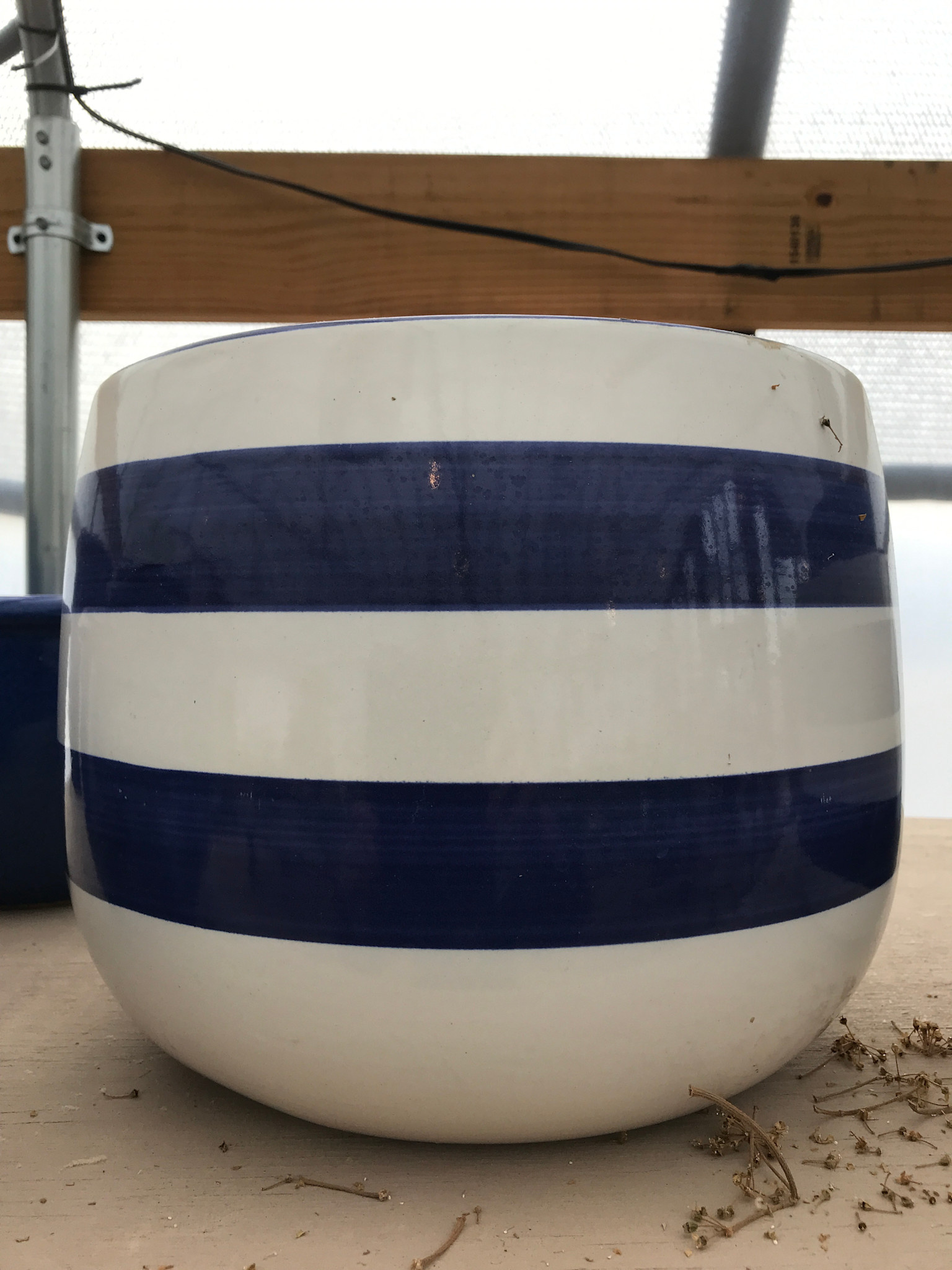 Large Stripe Planter (blue/ white)