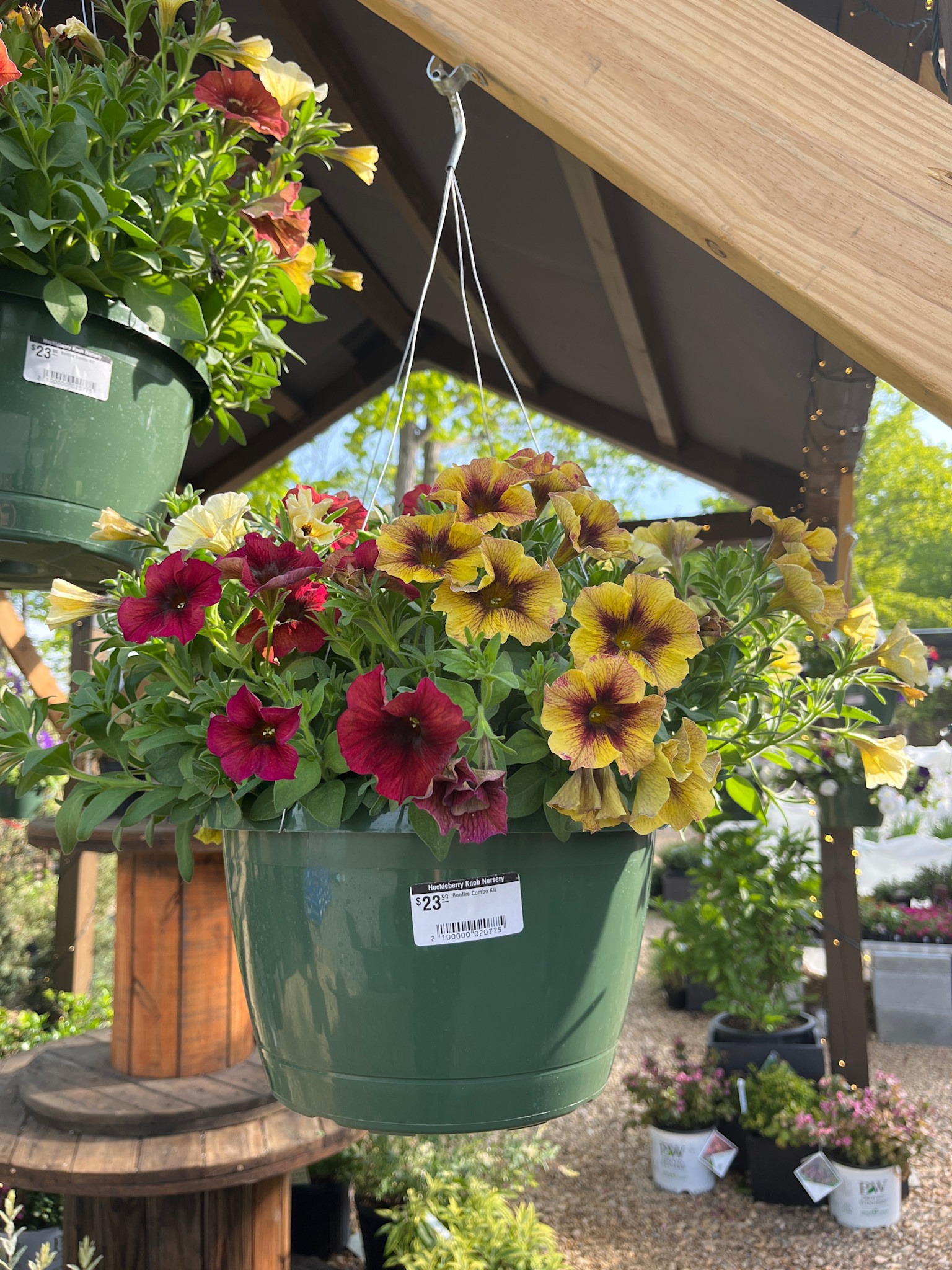 Hanging Basket, Annual 10"