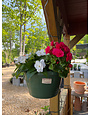 Hanging Basket, Annual 10"