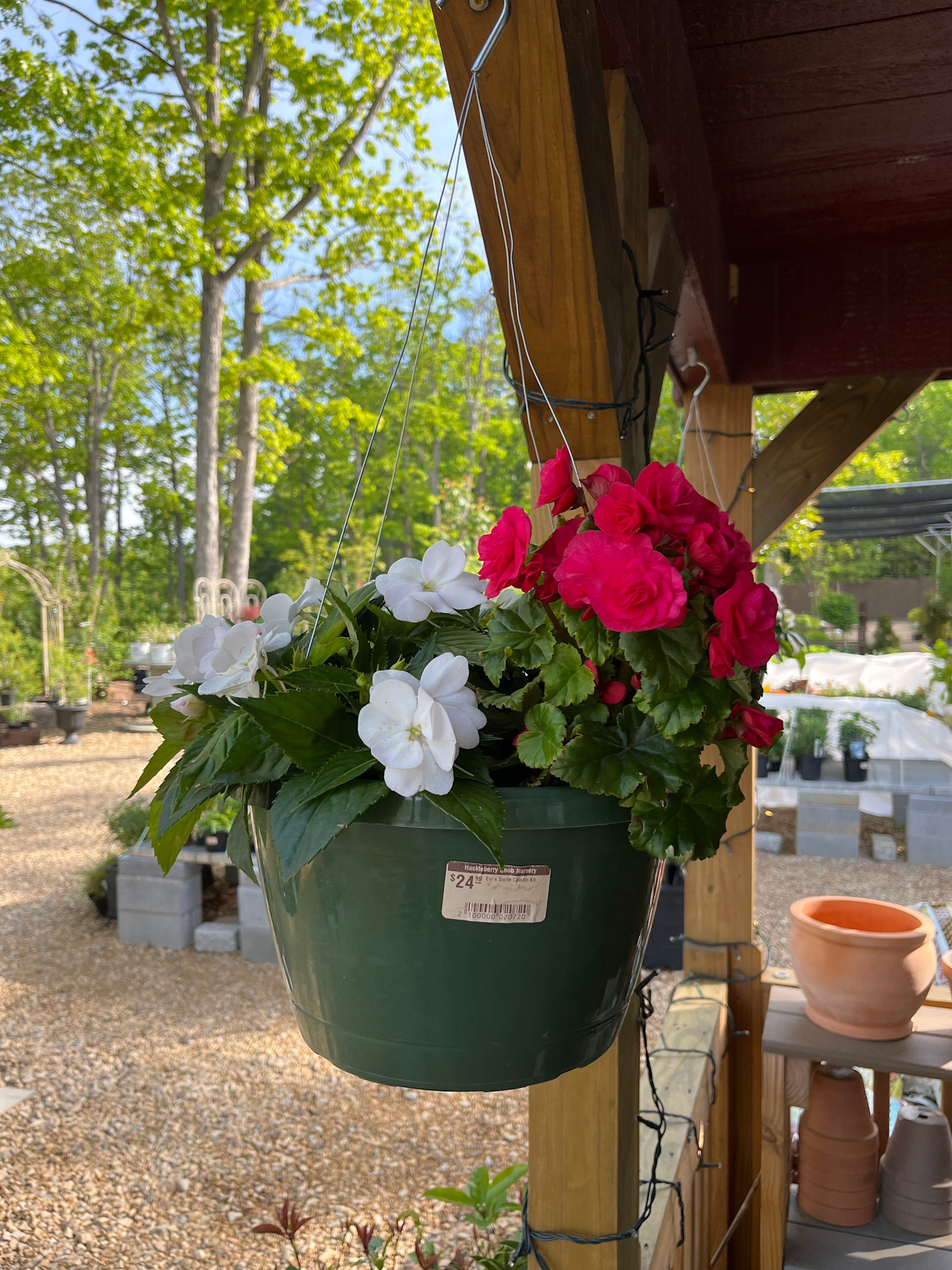 Hanging Basket, Annual 10"