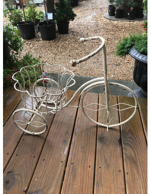Metal, Tricycle Plant Stand (white)