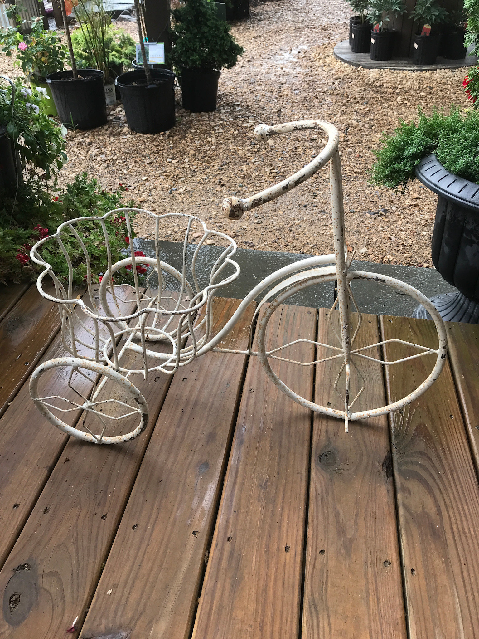 Metal, Tricycle Plant Stand (white)