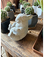 Cement Garden Bunny