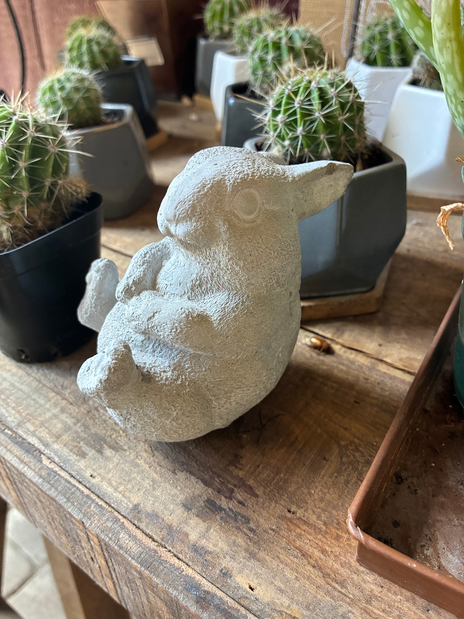 Cement Garden Bunny