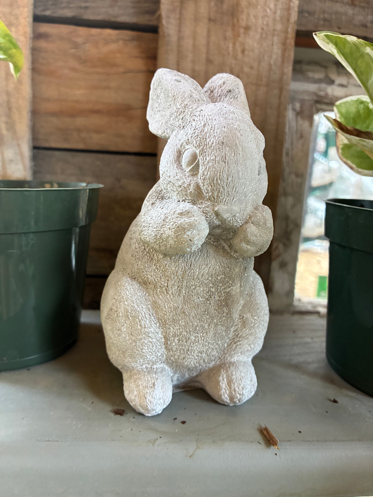 Cement Garden Bunny