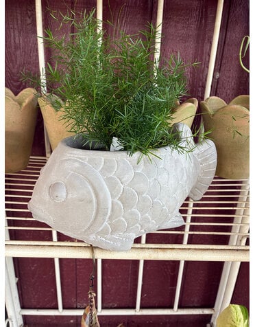 Large Cement Fish Planter