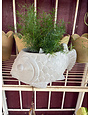 Large Cement Fish Planter