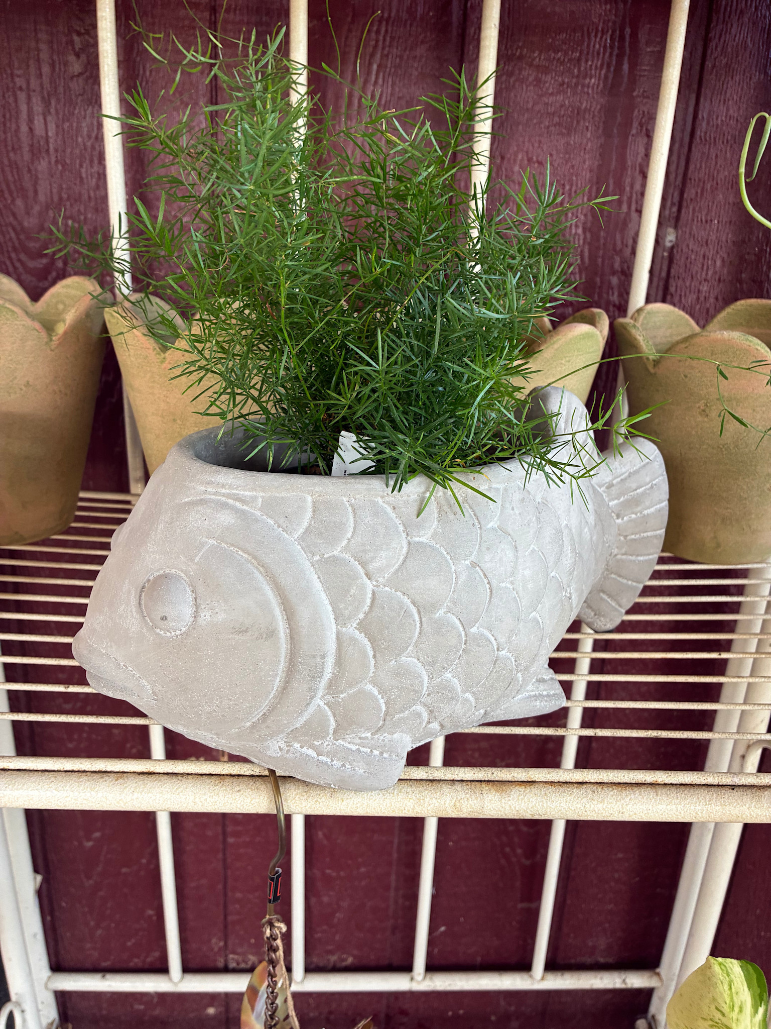 Large Cement Fish Planter