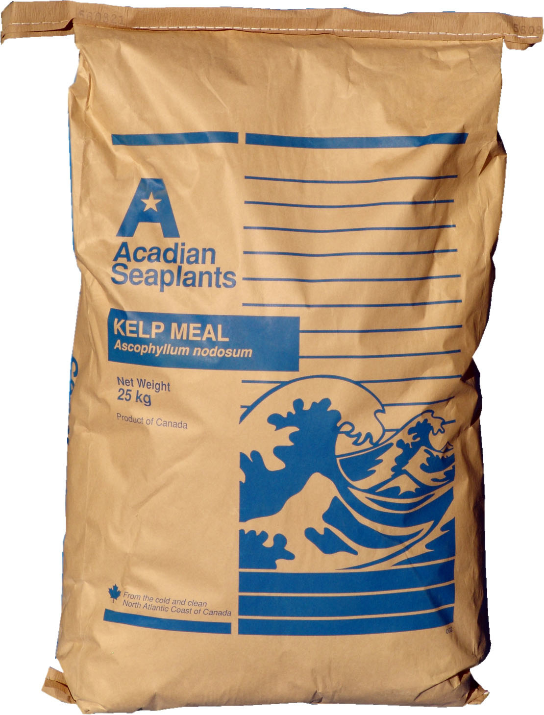 all plant protein powder Gaspari Nutrition Proven Vegan main image 0