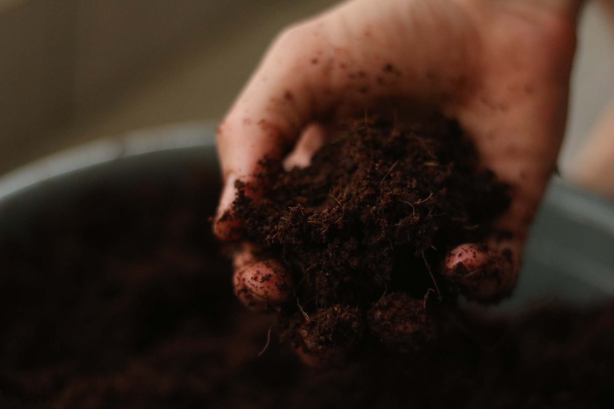 6 Tips for Building Living Soil