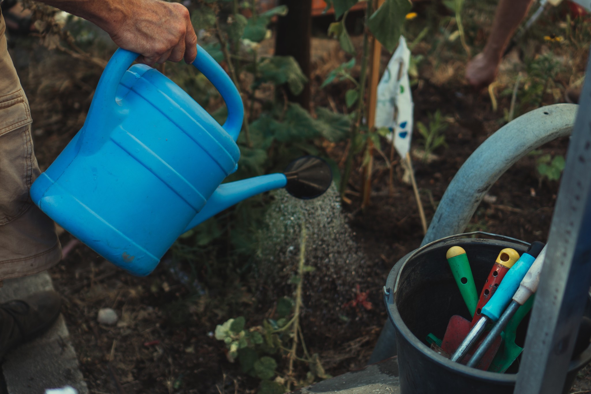 Apply Biology with Compost Teas: Making Liquid Biological Amendments 