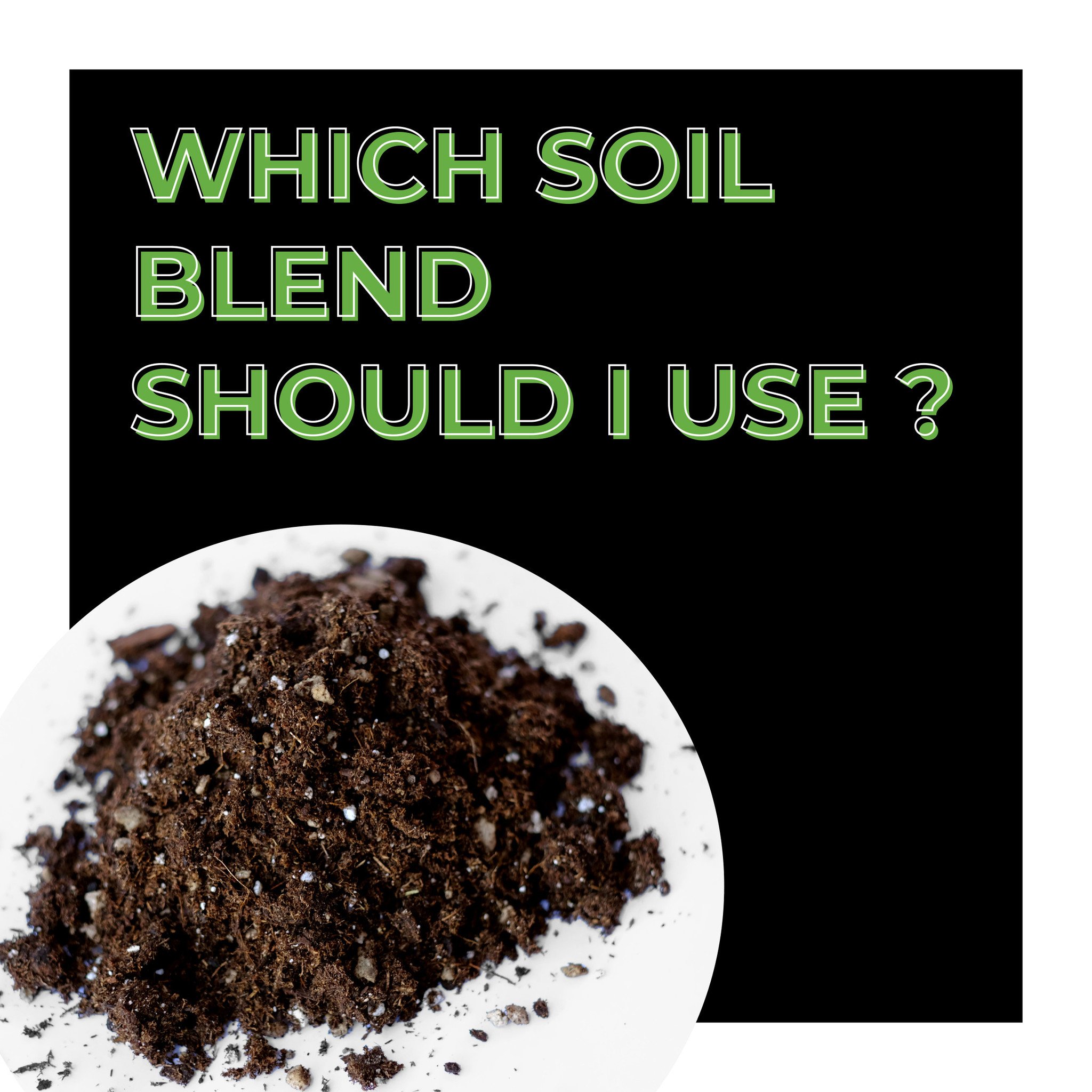 Choosing the Right Potting Soil