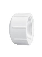 PVC  End Cap FIPT 2” (448-020)