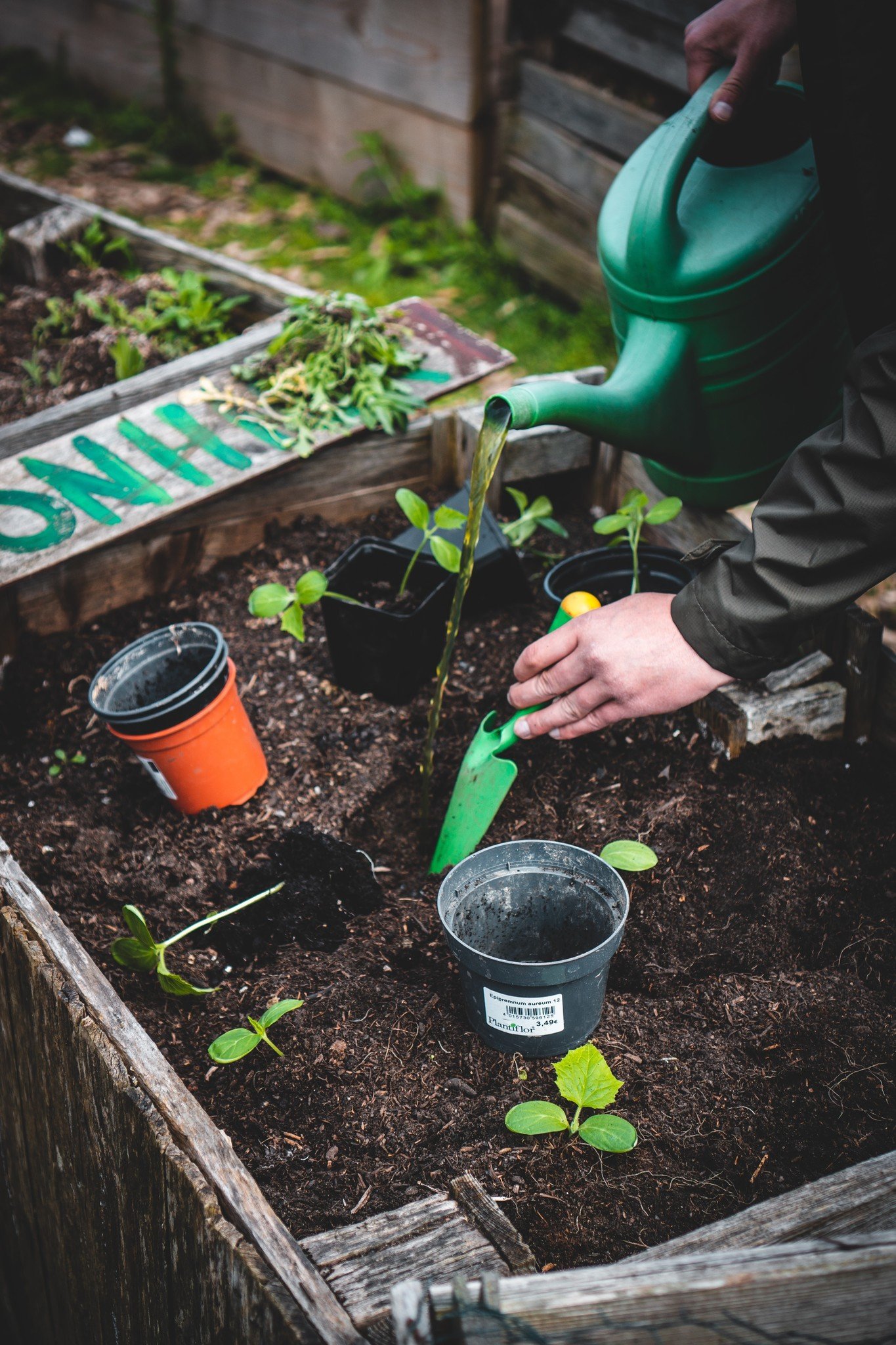 An Introduction to Compost Tea