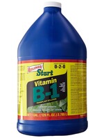 Western States Western States Vitamin B-1 1gal. 0-2-0