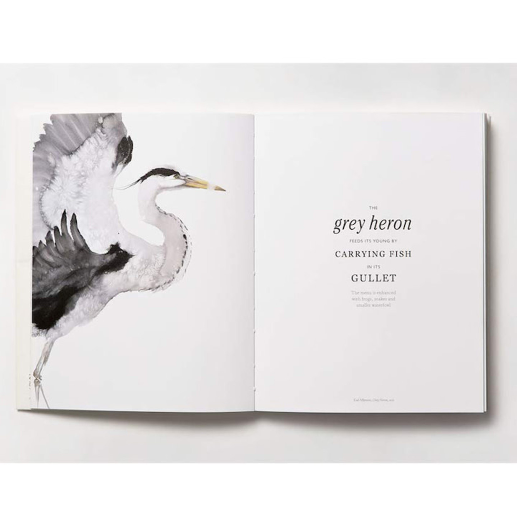 Chronicle Books Book of the Bird: Birds in Art