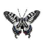 Old World Swallowtail Butterfly Brooch Pin