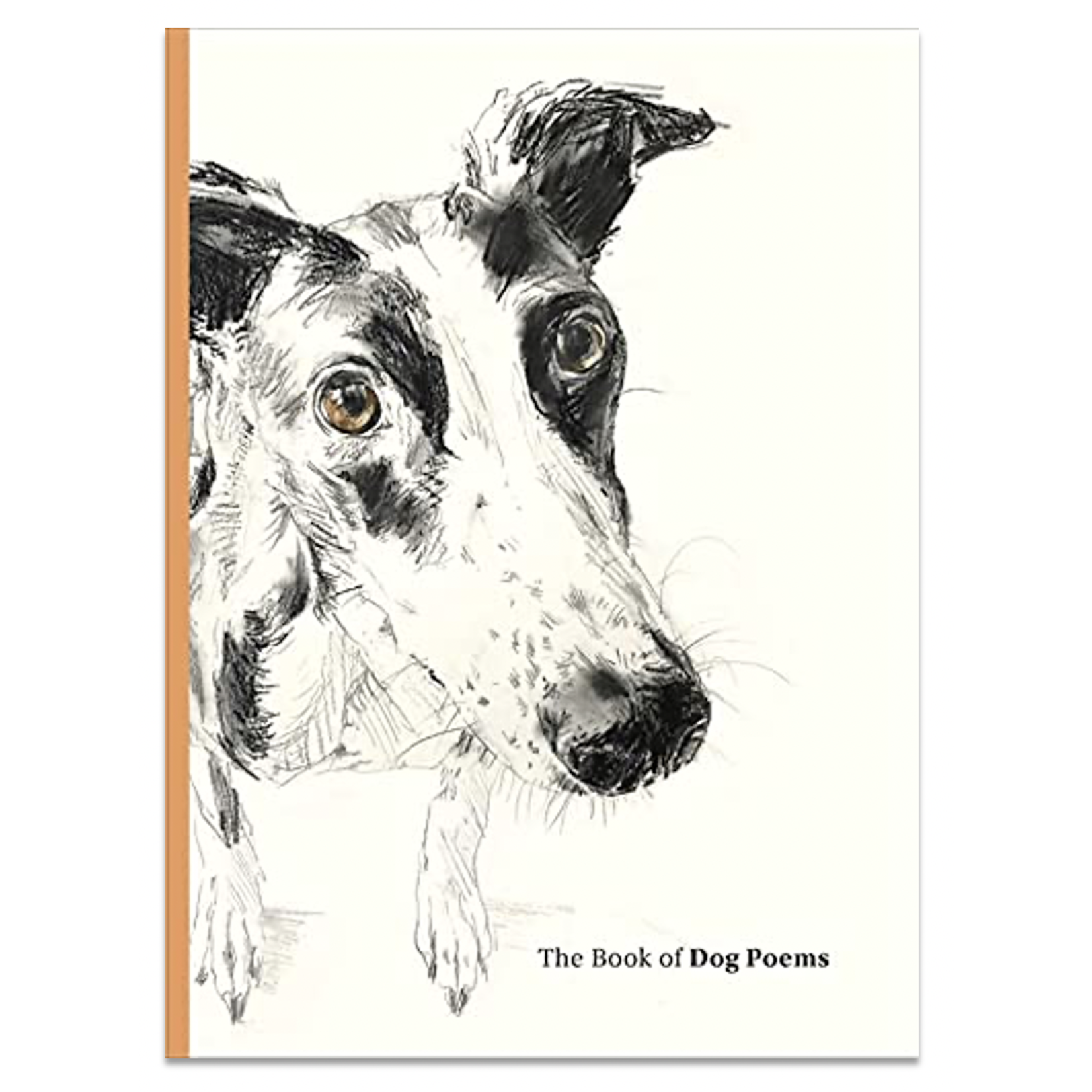 Chronicle Books The Book of Dog Poems