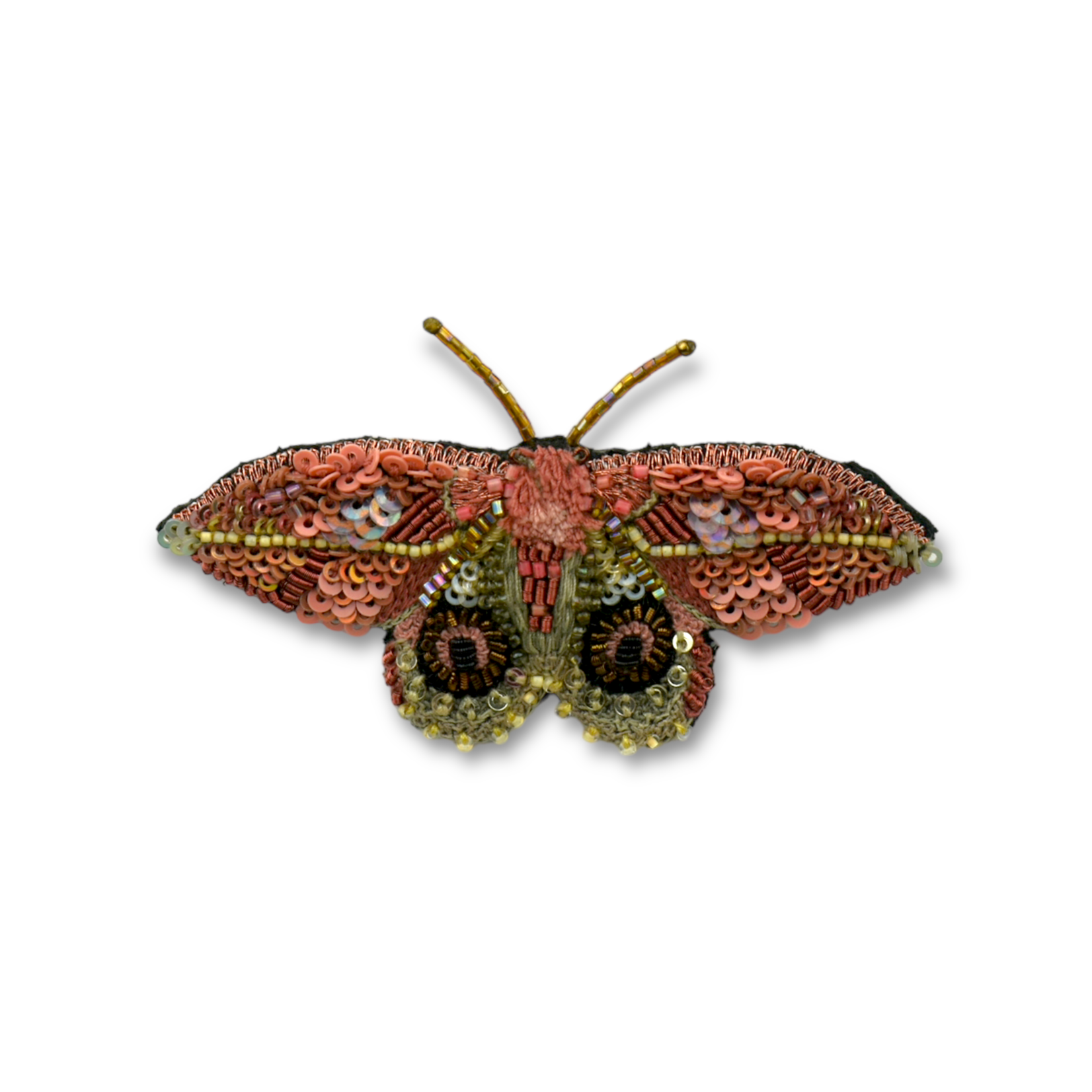 Pin Dognin's Bulleye Moth