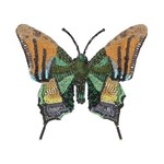 Emperor Of India Butterfly Brooch Pin
